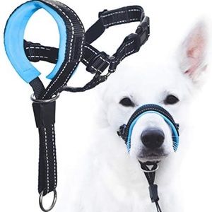 Good Boy Gentle Leader